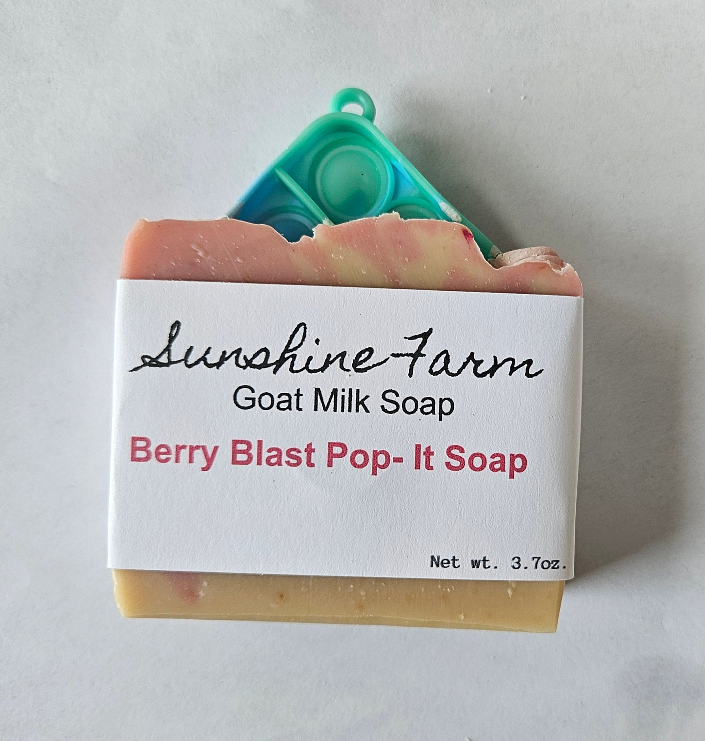Berry Blast Pop-It